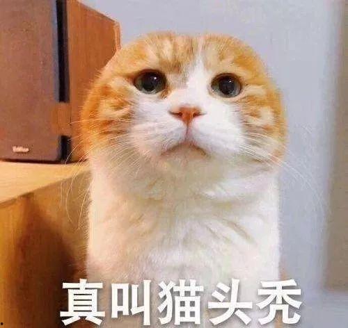 别怕我伤心吃瓜,吃瓜群众揭秘娱乐圈真相