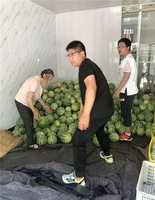 杭马吃瓜,揭秘马拉松背后的趣味故事与精彩瞬间