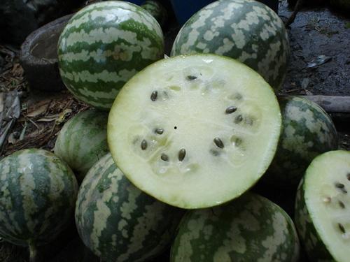 发烧绿宝瓜可以吃么,绿宝瓜能否安心食用？