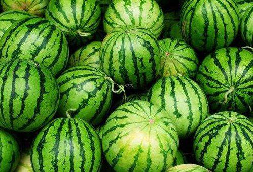 发烧绿宝瓜可以吃么,绿宝瓜能否安心食用？