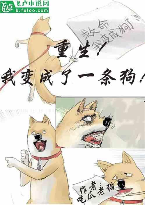 朝堂吃瓜小说,朝堂吃瓜者的逆袭之路