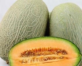 不停吃哈密瓜,尽享甜蜜时光