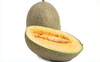 不停吃哈密瓜,尽享甜蜜时光