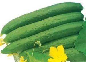 夏天吃三瓜都是什么瓜,夏日消暑三瓜养生攻略