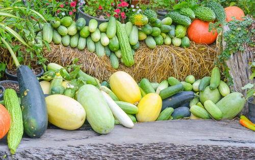 夏天吃三瓜都是什么瓜,夏日消暑三瓜养生攻略