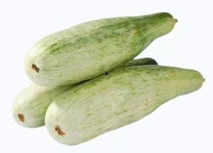 细节羊吃瓜,探寻羊群与夏日瓜果的奇妙邂逅