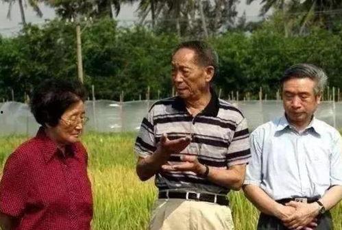 吃瓜同学后续,揭秘事件真相，带你走进幕后故事