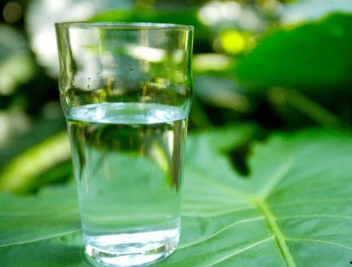 立秋吃三白瓜,品味三白瓜的清新甘甜