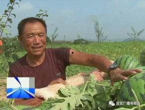 瓜农吃瓜群众正在直播,吃瓜群众热情互动，欢乐满满