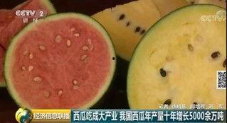 关于吃瓜部落,探寻吃瓜部落的独特魅力与生活画卷