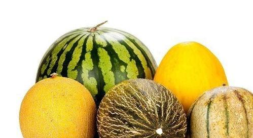 吃小红瓜有啥好处,营养丰富的健康佳品，揭秘其四大益处”