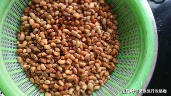 日照蓝山吃瓜,清凉一夏，尽享田园风情