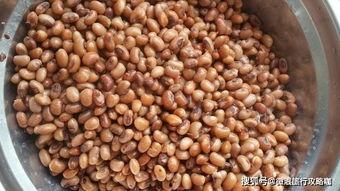 日照蓝山吃瓜,清凉一夏，尽享田园风情