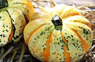 方瓜和角瓜一起吃,探寻健康饮食新搭配