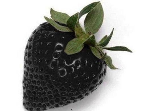 黑色玫瑰13吃瓜,揭秘娱乐圈的神秘瓜田