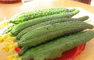 吃瓜正常吗,探讨吃瓜现象的合理性与边界