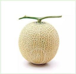 吃瓜网站头像大全图片,揭秘吃瓜网站头像大全的趣味世界