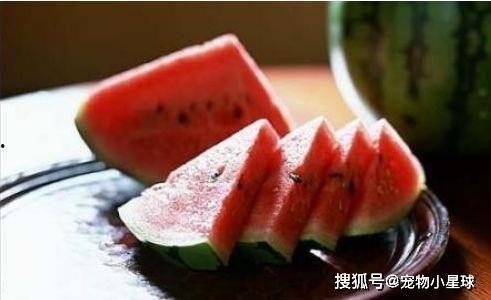 路过杀个瓜吃,一场意外的瓜果之旅