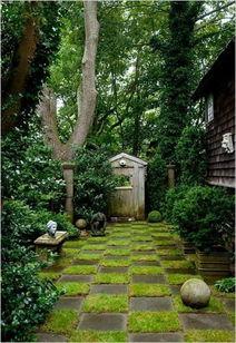 院子里吃瓜,瓜香四溢，共享欢乐时光