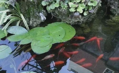 院子里吃瓜,瓜香四溢，共享欢乐时光