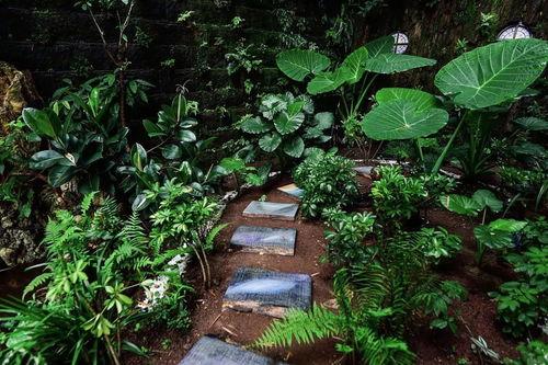 秘密花园吃瓜软件,吃瓜软件带你畅游娱乐圈