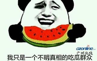 吃瓜群众吃瓜什么意思,揭秘“吃瓜群众”吃瓜背后的真相与趣味