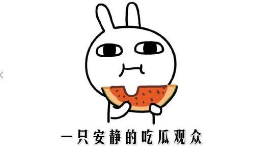 吃瓜群众吃瓜什么意思,揭秘“吃瓜群众”吃瓜背后的真相与趣味