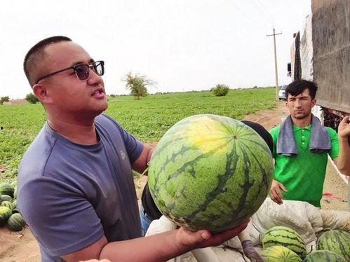 吃瓜ucla,揭秘校园热点事件背后的真相