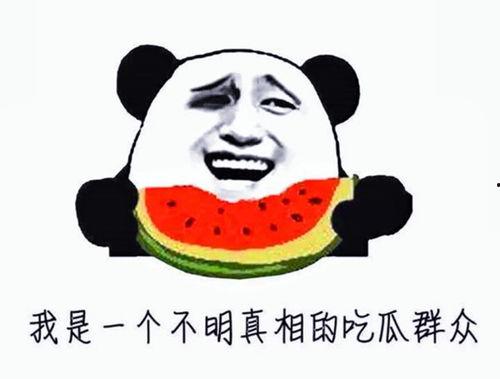 随便吃瓜就被抓小说