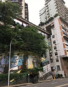 重庆地铁吃瓜,吃瓜群众的欢乐盛宴