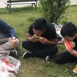 吃大瓜情景视频,一场情景视频中的趣味观察