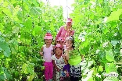 峡谷最强吃瓜群众,最强吃瓜群众揭秘电竞圈幕后故事