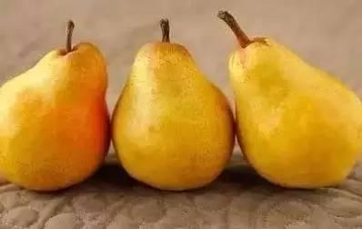 秋天莫吃瓜,莫让瓜果误了养生之道