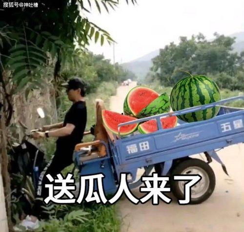 河边吃瓜拍照文案,镜头下的悠闲时光