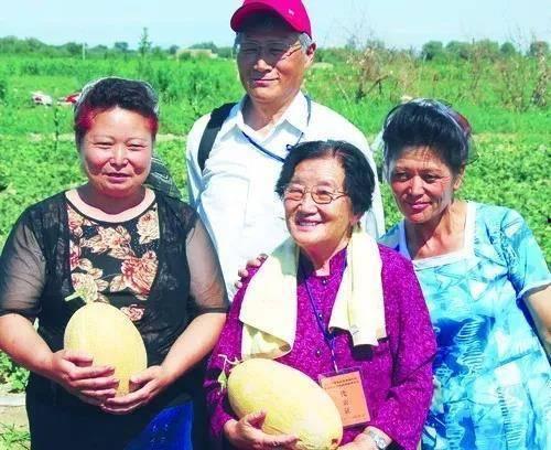 吃瓜群众81,一场全民参与的娱乐盛宴