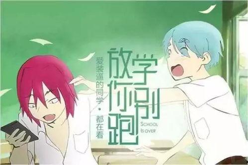 故事吃瓜博主,揭秘吃瓜博主背后的故事