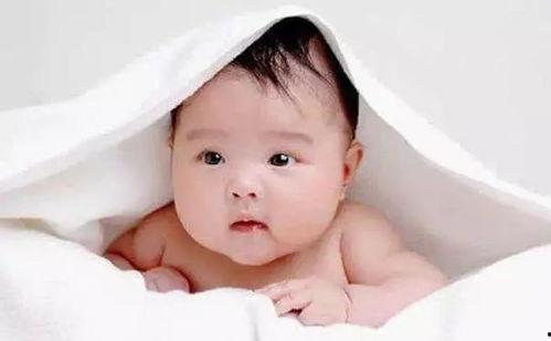 婴儿可以吃毛瓜,毛瓜的营养与食用指南