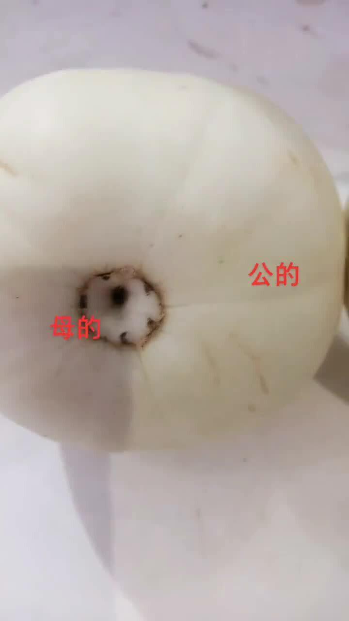 肚脐眼吃瓜,揭秘人体奇趣现象背后的科学奥秘