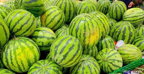 肚脐眼吃瓜,揭秘人体奇趣现象背后的科学奥秘