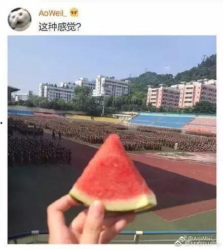 军训追吃瓜学长,学长追瓜背后的浪漫故事