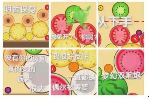 吃瓜卡泡泡,揭秘网络热词背后的趣味与真相