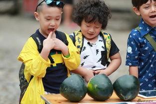 萌娃吃瓜南昌,南昌街头上演欢乐一幕