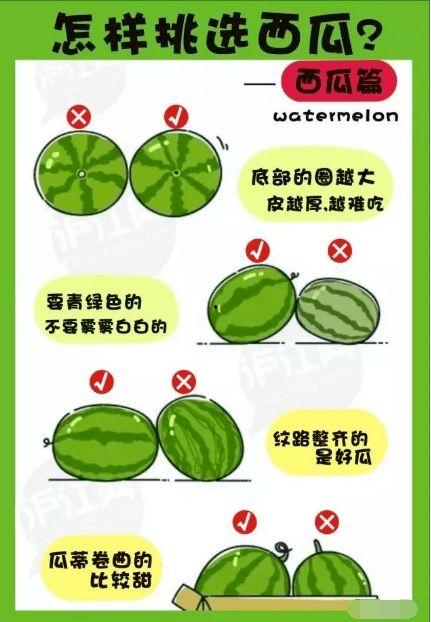 吃瓜群众岗位,揭秘网络舆论场中的幕后推手