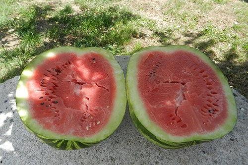 梦见倫瓜吃,揭秘梦中伦瓜的神秘寓意