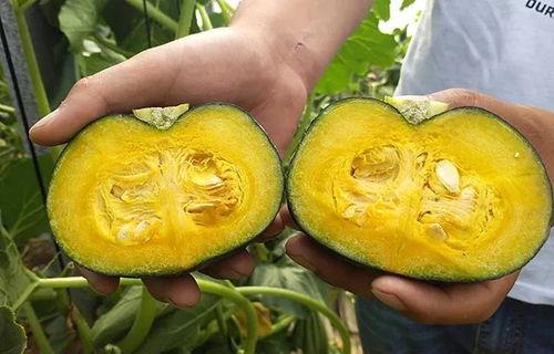 贝贝瓜带皮吃,健康美味两不误