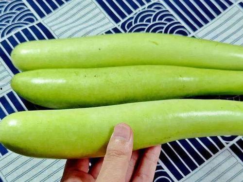 吃瓜热点9月,盘点娱乐圈最新八卦风云