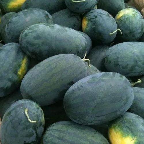 吃瓜玩网,揭秘网络世界的趣味与真相