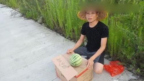 农村吃瓜不给钱