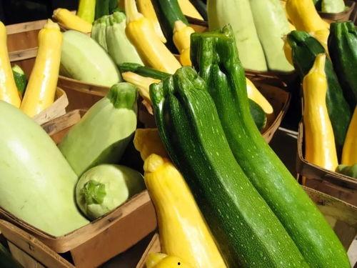 吃瓜首选,吃瓜群众必备的明星八卦指南