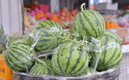 吃坏瓜中毒,吃坏瓜的严重后果及预防措施